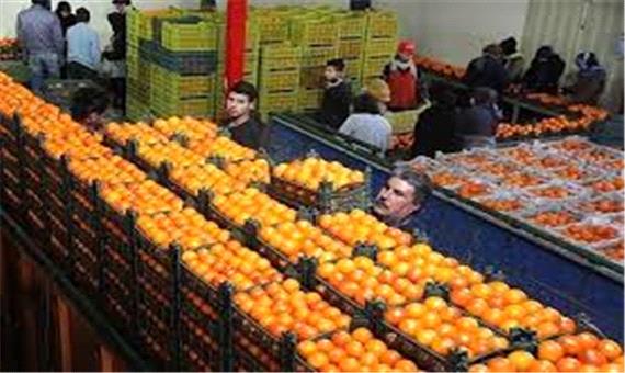 توزیع 1400 تن میوه شب عید در 193 مركز عرضه استان یزد