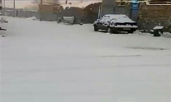 برف، ندوشن در استان یزد را سفیدپوش کرد