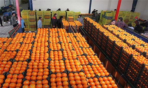 آغاز عرضه سیب و پرتقال تنظیم بازار در یزد