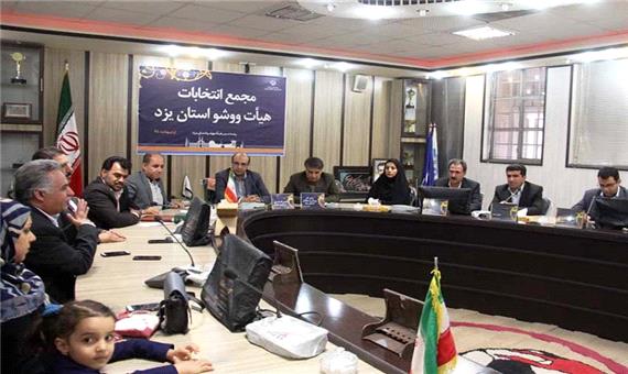 رئیس فدراسیون: استان یزد، ظرفیت های خوبی در ووشو دارد