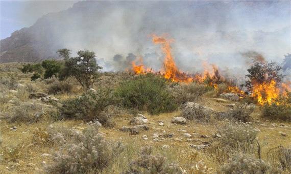 3 هکتار از مراتع یزد در آتش سوخت