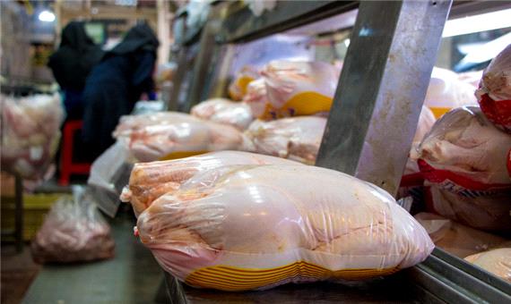 علت عرضه گرانتر گوشت مرغ در یزد چیست؟