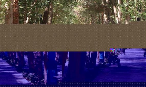 رئیس سازمان سیما، منظر و فضای سبز شهری شهرداری یزد هدف از اجرای پروژه بازپیرایی بوستان های جوان، لاله و حجت را بهسازی، زیباسازی و استفاده بهتر و بهینه شهروندان عنوان کرد
